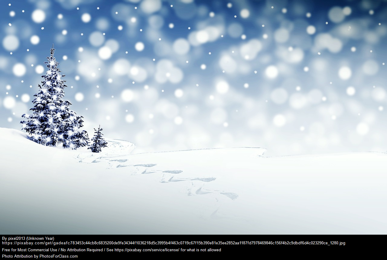 Siste skoledag: Felles juletregang og juleavslutning