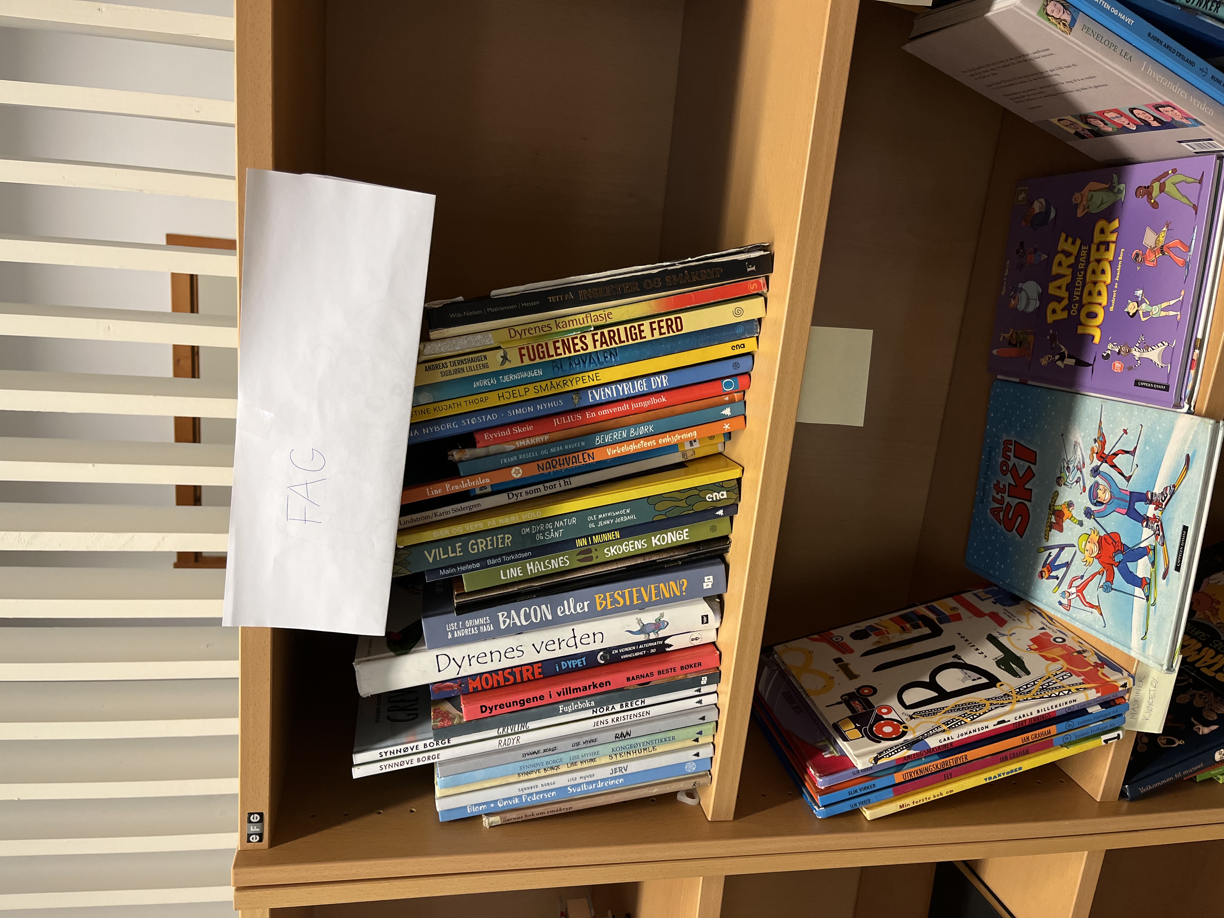 Nytt skolebibliotek snart klart for bruk