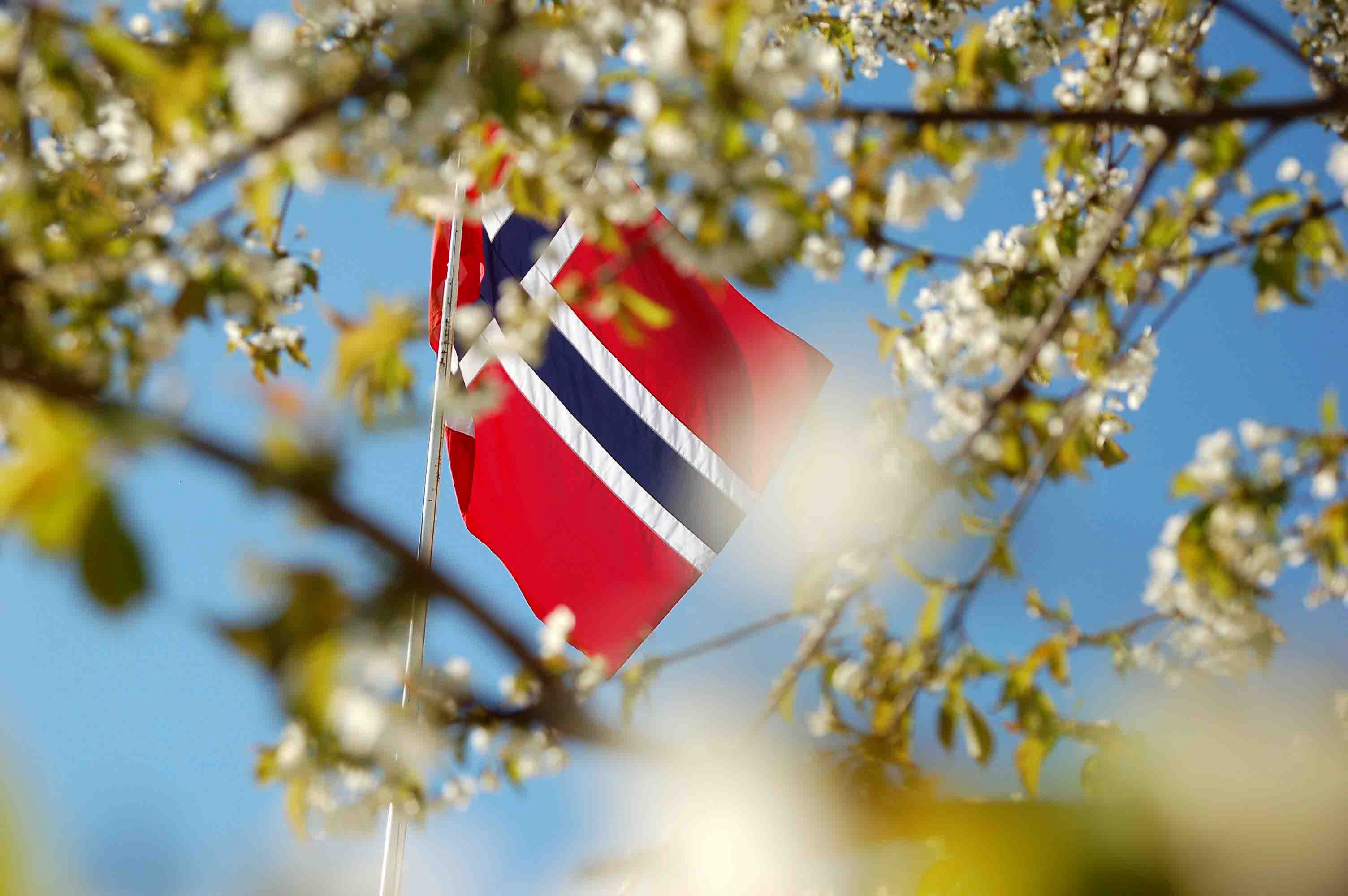 Skolens egen 17. mai-feiring tirsdag 16. mai