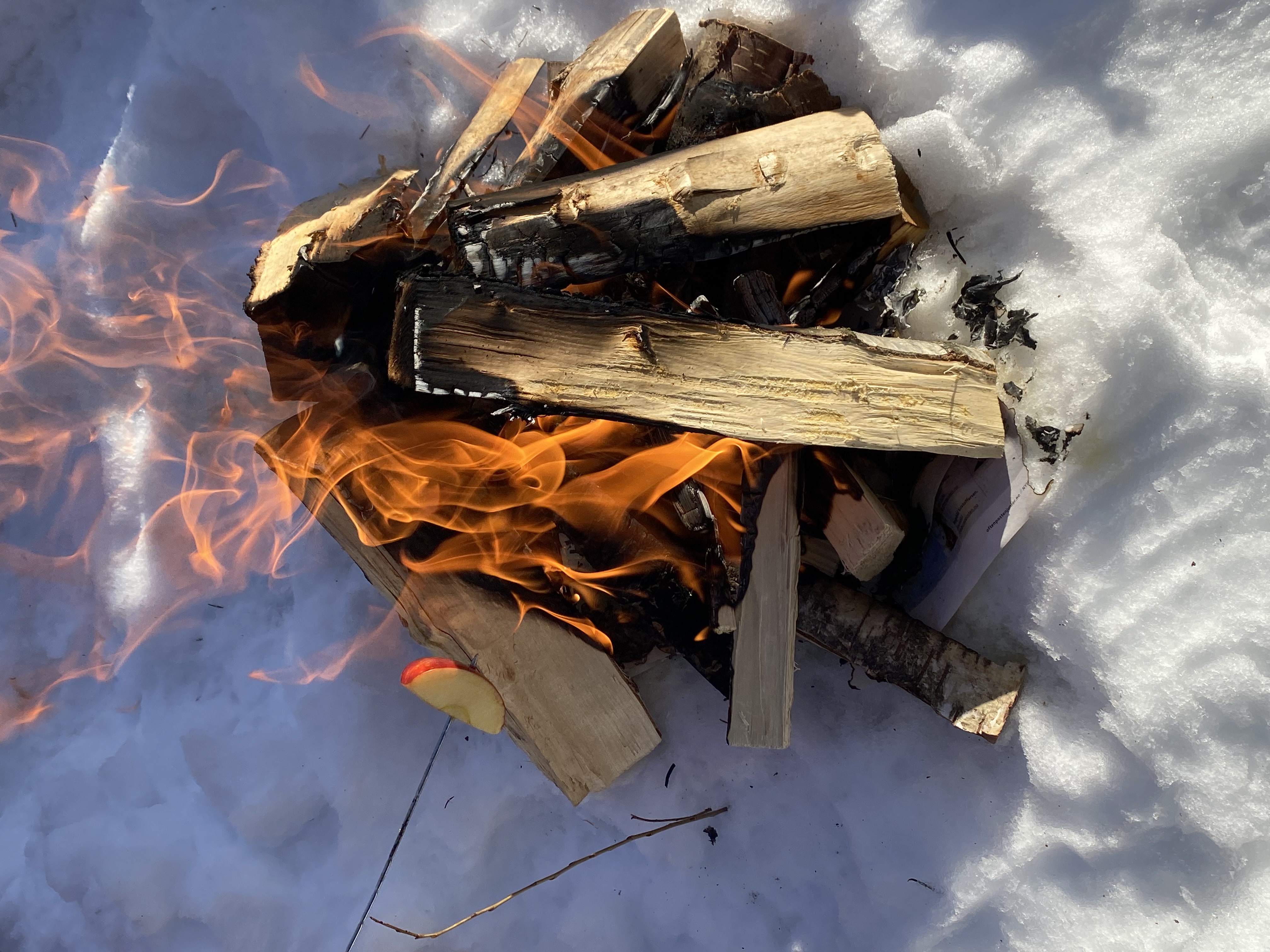 3. trinn på tur til akebakken ved Miltangen