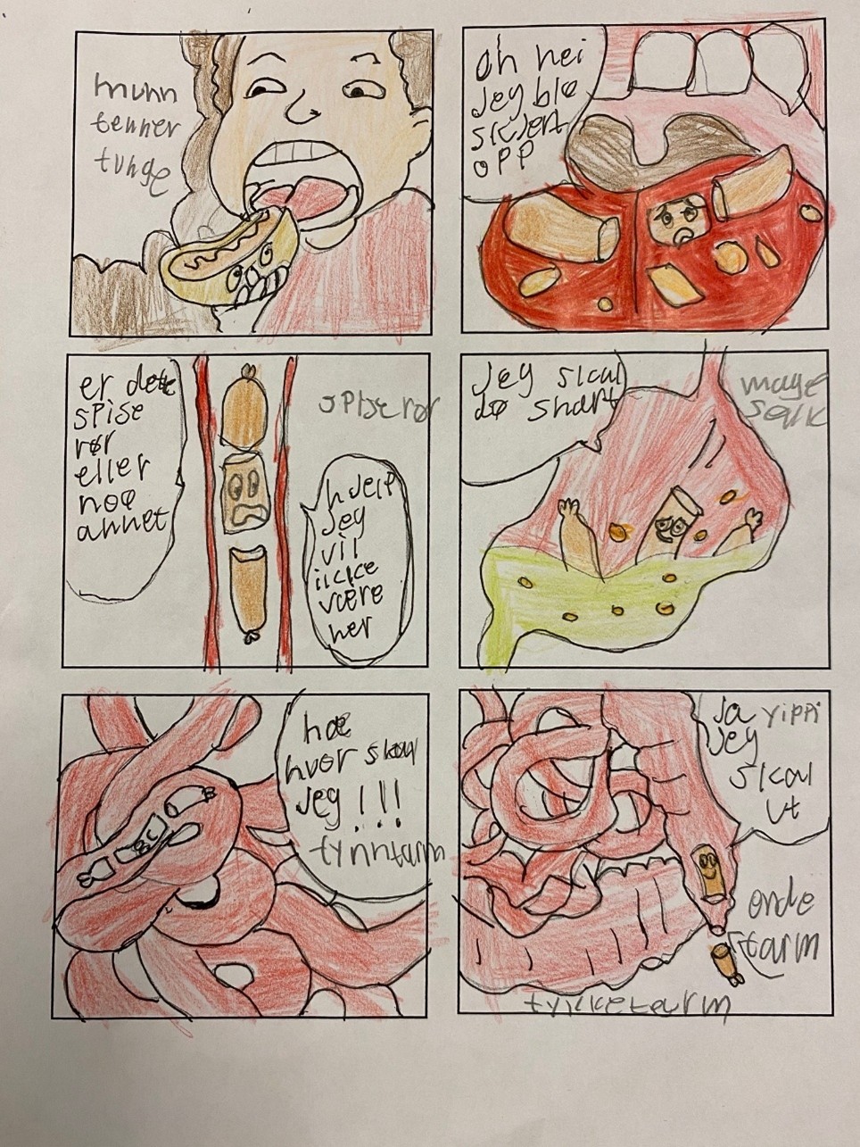 Prosjekt på 5. trinn: Menneskekropp