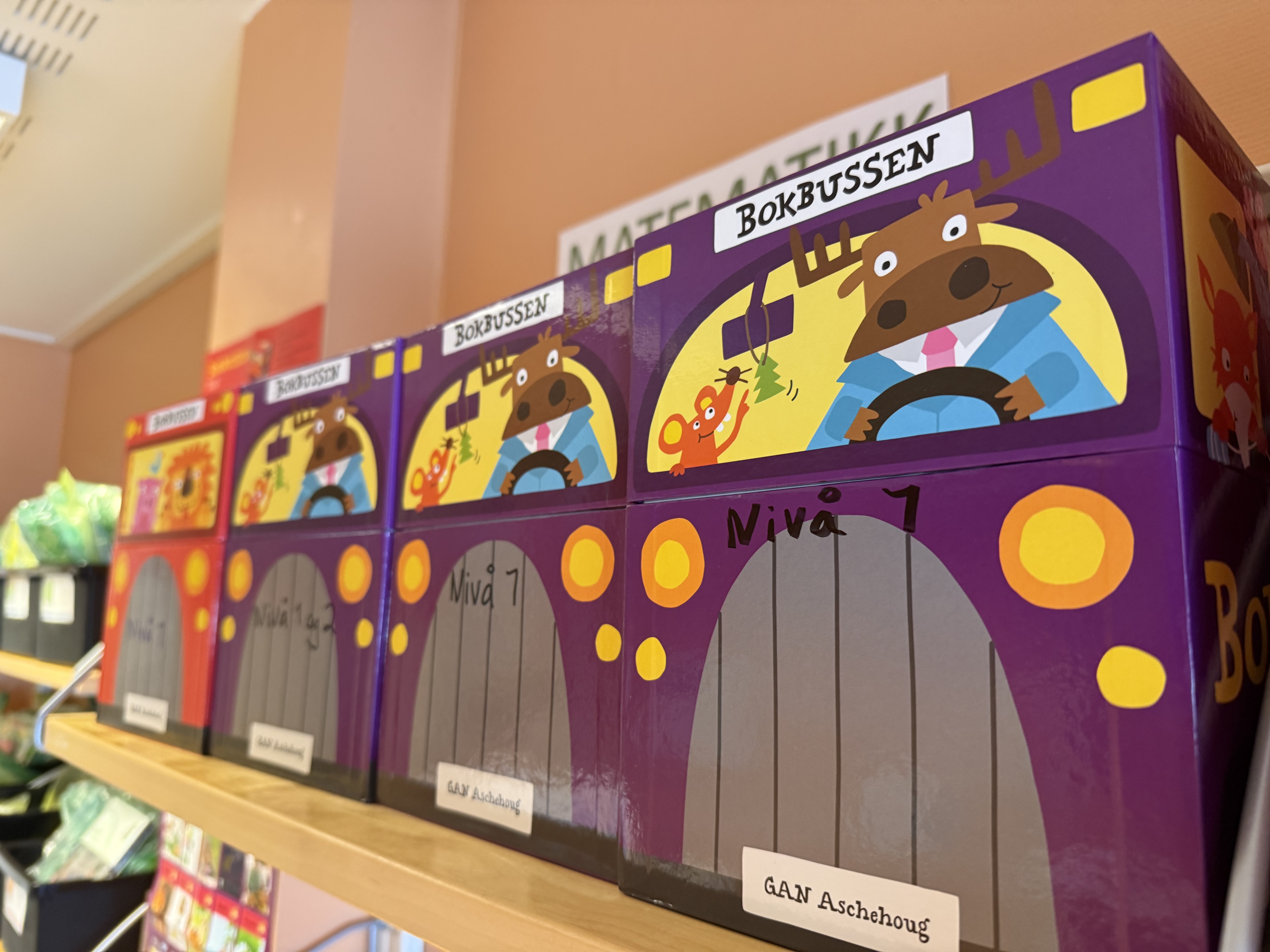 Døli skole styrker undervisningen med nytt fagteam