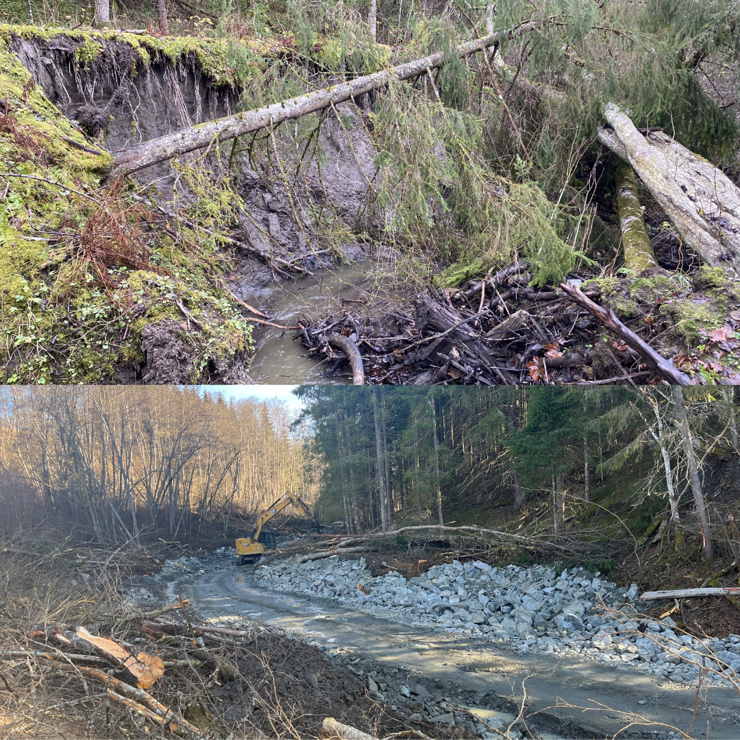 God fremdrift i Dølibekken