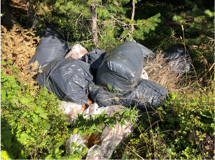 Slik kvitter du deg med hageavfall