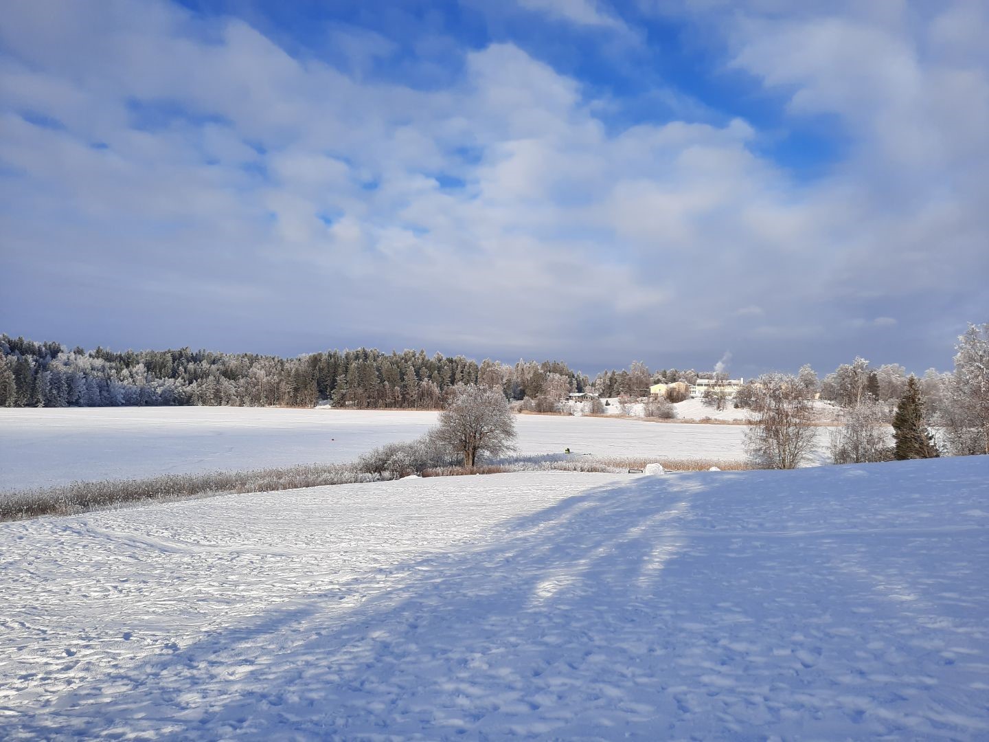 Ismåling på Nordbytjernet